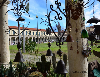 A Collegno la Follia è in fiore